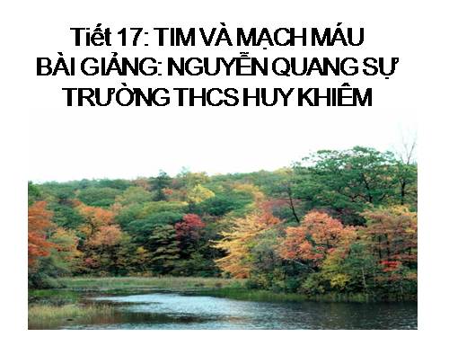 Bài 17. Tim và mạch máu