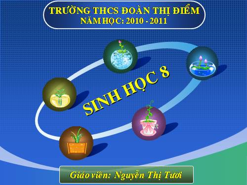 Bài 24. Tiêu hóa và các cơ quan tiêu hóa