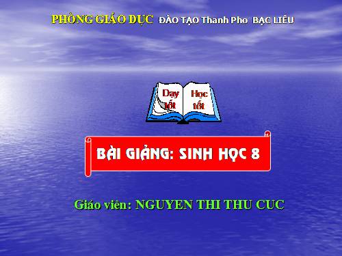 Bài 28. Tiêu hóa ở ruột non