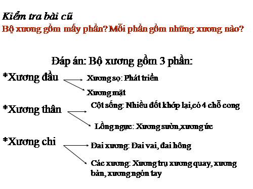 Bài 8. Cấu tạo và tính chất của xương