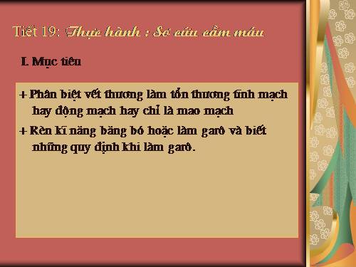 Bài 19. Thực hành: Sơ cứu cầm máu