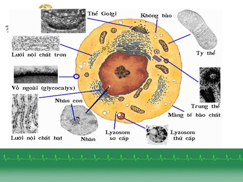 ảnh đã sửa đẹp