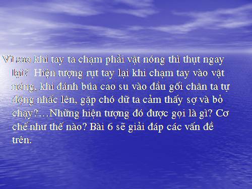 Bài 6. Phản xạ