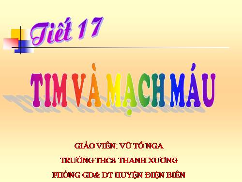 Bài 17. Tim và mạch máu