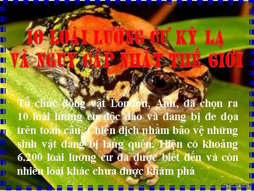 10 loai luong cu ki la