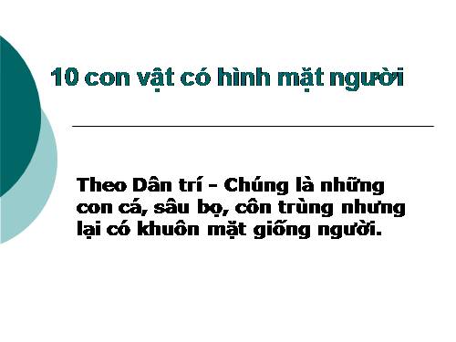 10 con vat co hinh mat nguoi