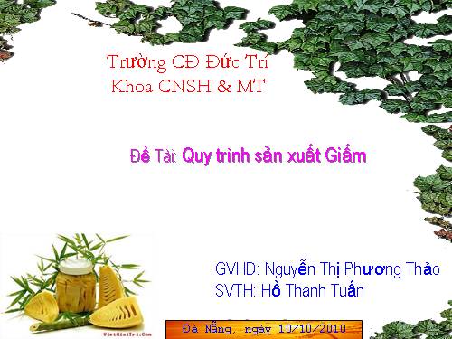 Quy trinh san xuat giam