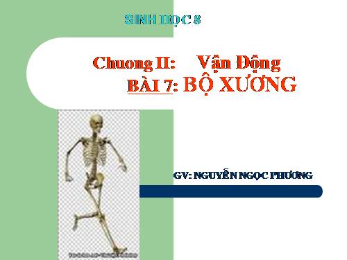 Bài 7. Bộ xương