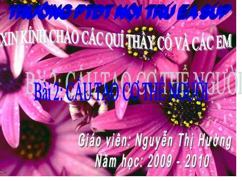 Bài 2. Cấu tạo cơ thể người