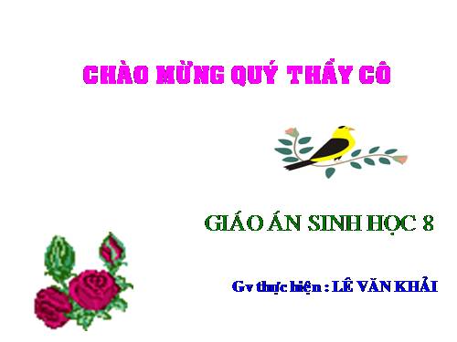 Bài 20. Hô hấp và các cơ quan hô hấp