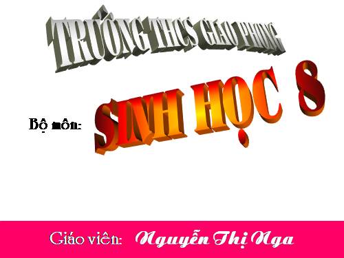 Sơ đồ cấu tạo của tim