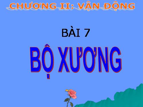 Bài 7. Bộ xương