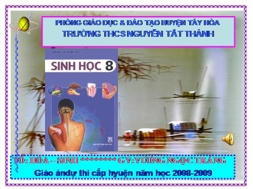 Bài 48. Hệ thần kinh sinh dưỡng