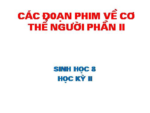 cac doan phim co the nguoi HKII sinh 8