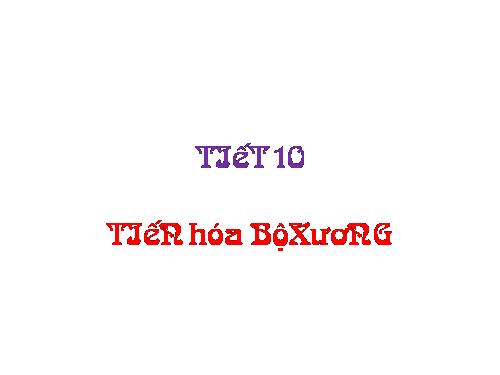 tiet11 sinh 8 tien hoa