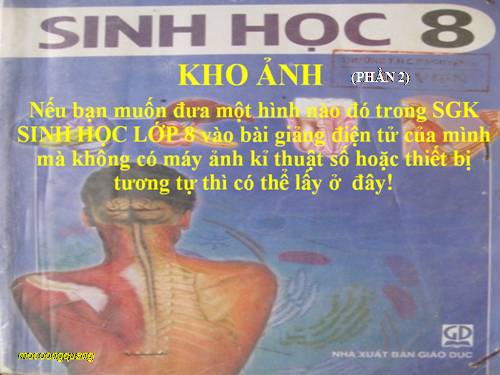 KHO ẢNH SINH 8 (PHẦN 2)