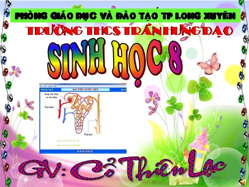 Bài 39. Bài tiết nước tiểu