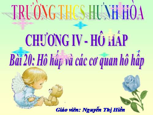 Bài 20. Hô hấp và các cơ quan hô hấp