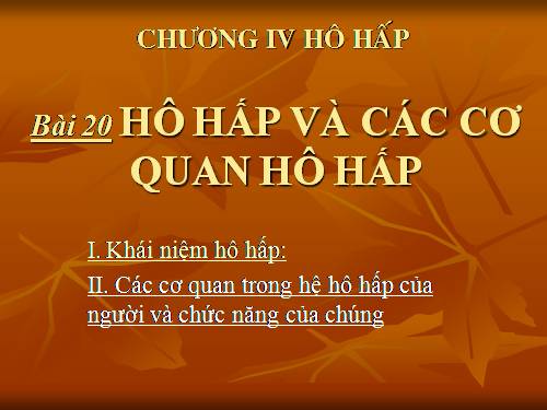 Bài 20. Hô hấp và các cơ quan hô hấp