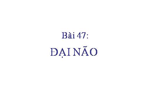 Bài 47. Đại não