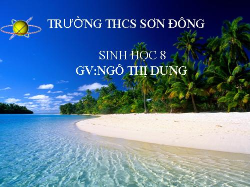 Bài 38. Bài tiết và cấu tạo hệ bài tiết nước tiểu