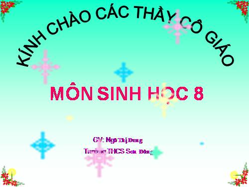 Bài 62. Thụ tinh, thụ thai và phát triển của thai