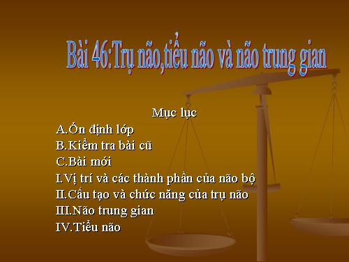 Bài 46. Trụ não. Tiểu não. Não trung gian