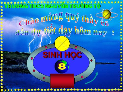 Bài 57. Tuyến tụy và tuyến trên thận