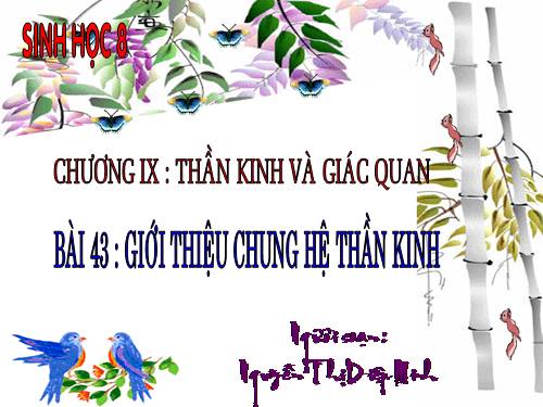 Bài 43. Giới thiệu chung hệ thần kinh