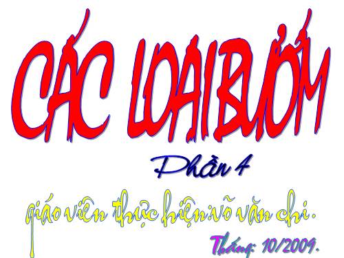 bài 64