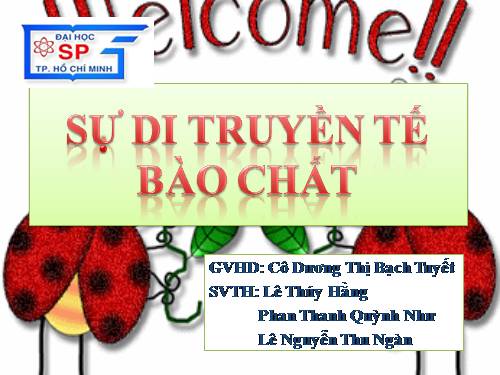 Bài 3. Tế bào