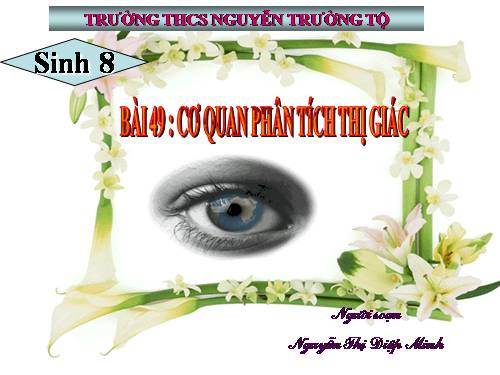 Bài 49. Cơ quan phân tích thị giác