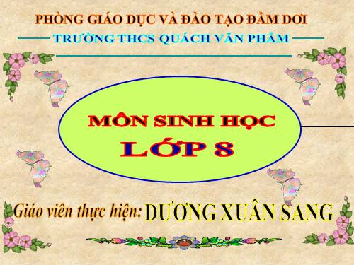 Bài 24. Tiêu hóa và các cơ quan tiêu hóa