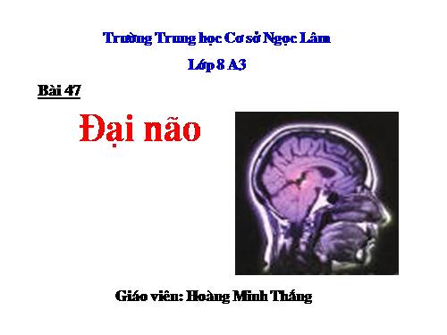 Bài 47. Đại não