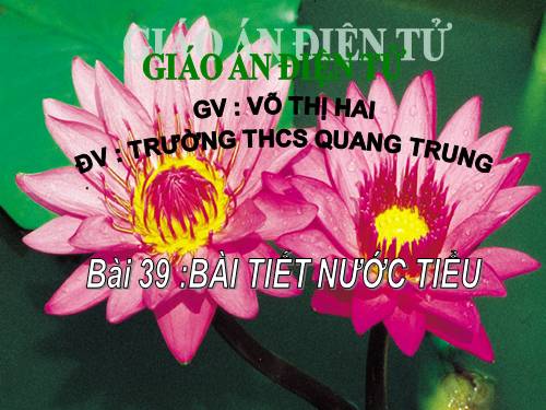 Bài 39. Bài tiết nước tiểu