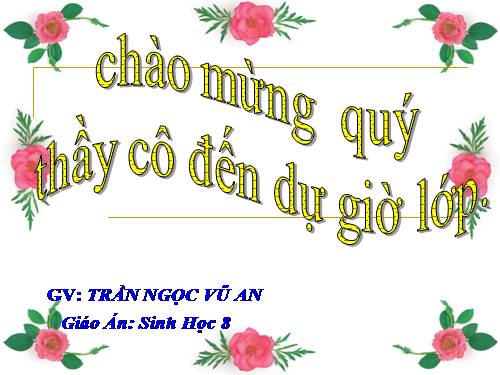 Bài 20. Hô hấp và các cơ quan hô hấp