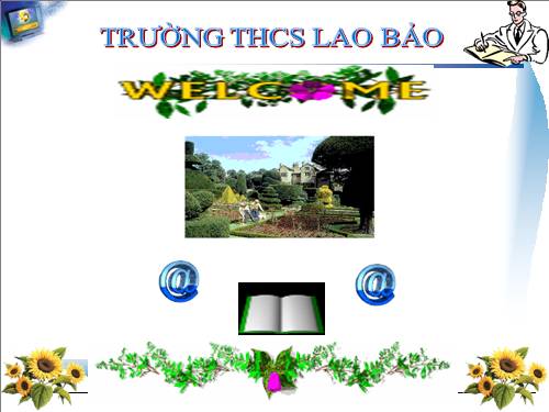 Bài 64. Các bệnh lây truyền qua đường sinh dục (bệnh tình dục)