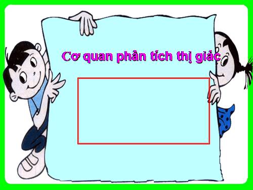 Bài 49. Cơ quan phân tích thị giác