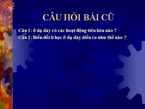 Bài 28. Tiêu hóa ở ruột non