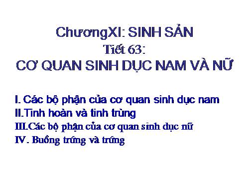 Bài 60. Cơ quan sinh dục nam