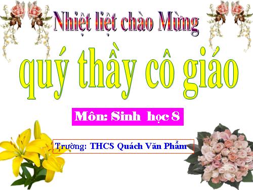 Bài 36. Tiêu chuẩn ăn uống. Nguyên tắc lập khẩu phần