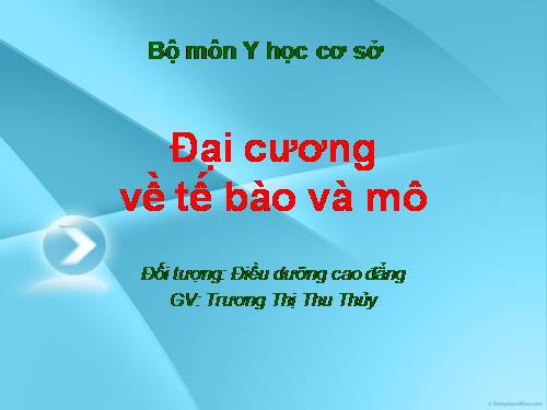 Bài 3. Tế bào