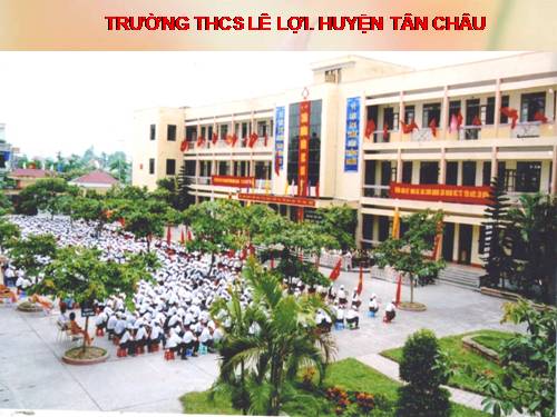 Bài 59. Sự điều hòa và phối hợp hoạt động của các tuyến nội tiết