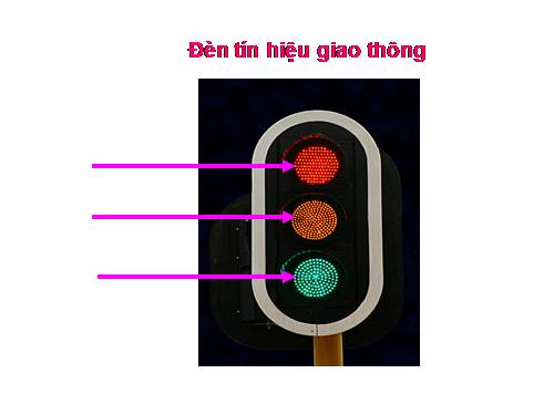 Bài 52. Phản xạ không điều kiện và phản xạ có điều kiện