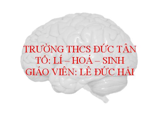 Bài 43. Giới thiệu chung hệ thần kinh