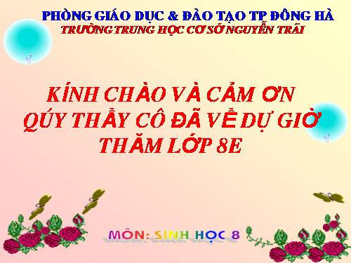 Bài 57. Tuyến tụy và tuyến trên thận