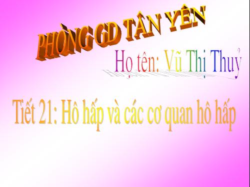 Bài 20. Hô hấp và các cơ quan hô hấp