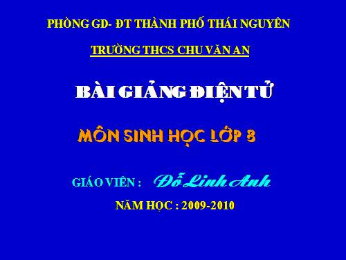 Bài 58. Tuyến sinh dục
