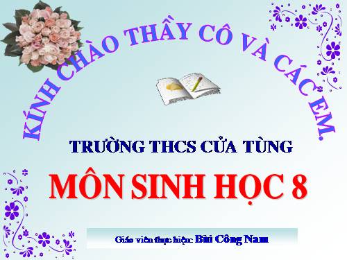 Bài 51. Cơ quan phân tích thính giác