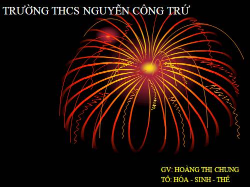 Bài 45. Dây thần kinh tủy